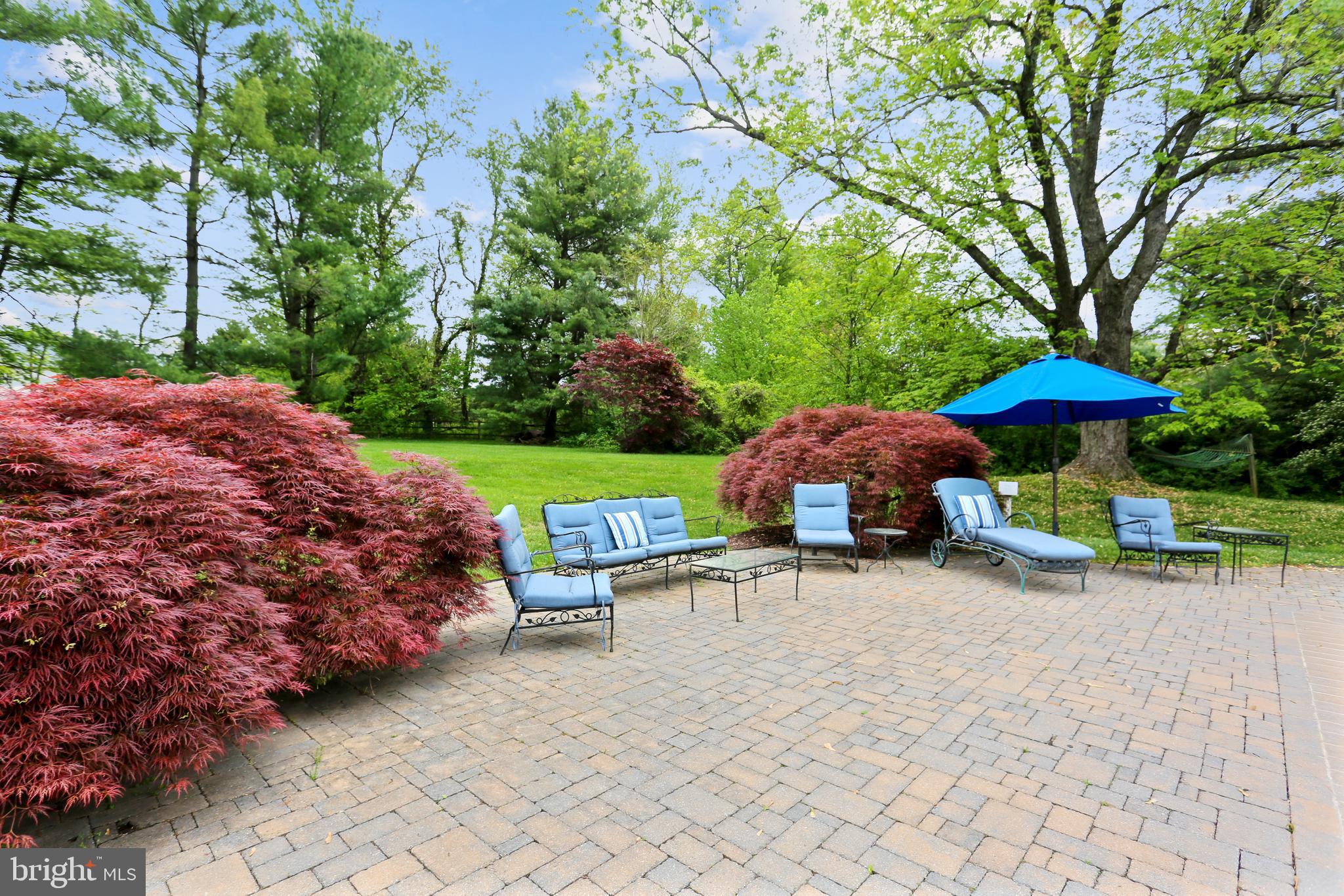12308 Beall Spring Road Potomac, MD 20854 - Photo 19 of 25 Pool area