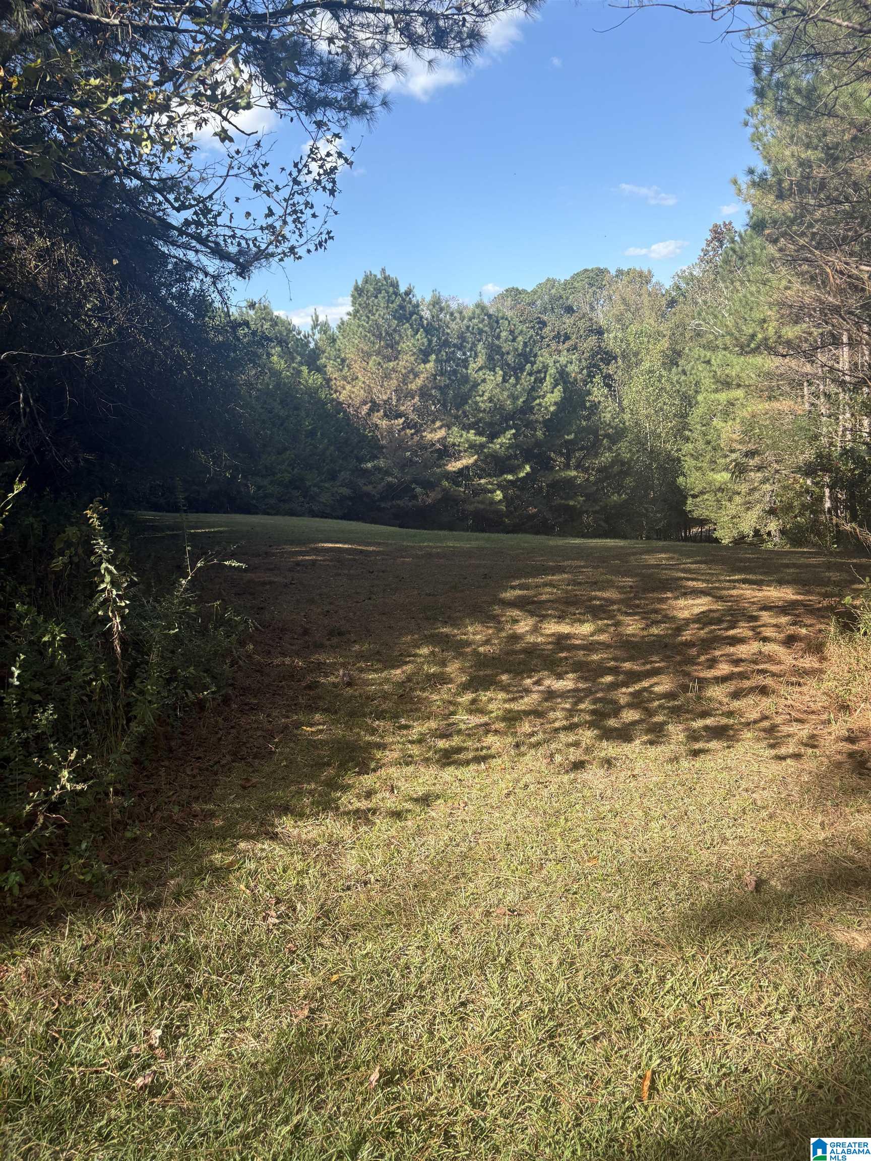 1055 Page Spring Road Blountsville, AL 35031 - Photo 21 of 22