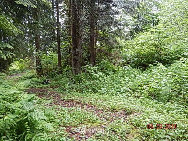 33 112th Street Southeast Sultan, WA 98294 - Photo 3 of 5 Gallery Image 3