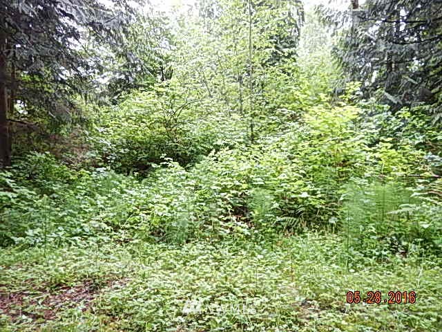 33 112th Street Southeast Sultan, WA 98294 - Photo 4 of 5 Gallery Image 4