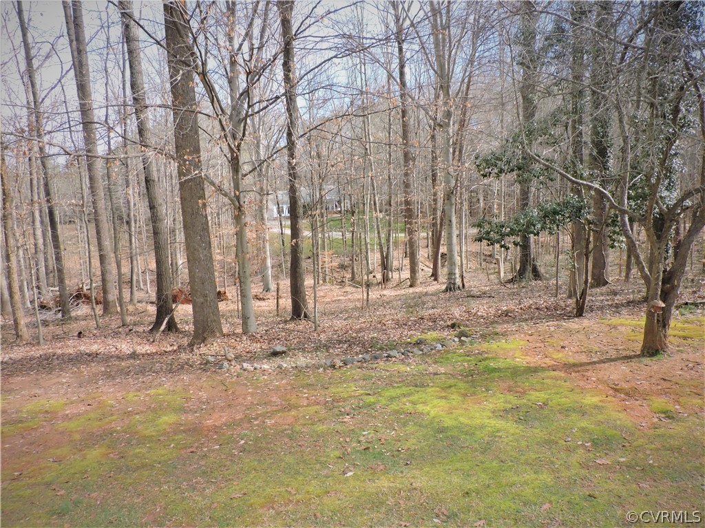 2032 Old Tavern Road Powhatan, VA 23139 - Photo 2 of 22