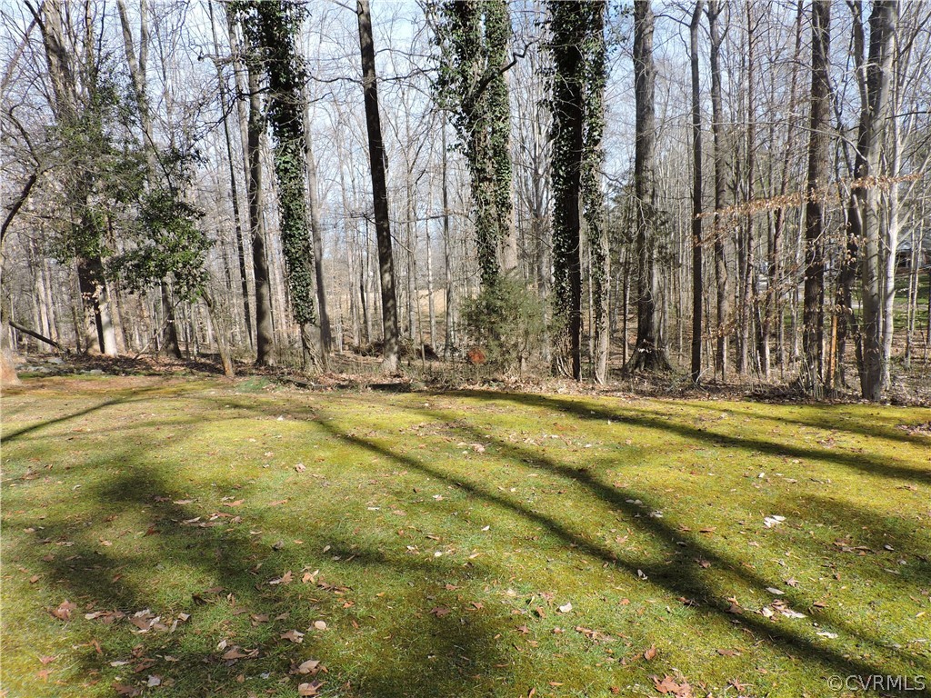 2032 Old Tavern Road Powhatan, VA 23139 - Photo 3 of 22