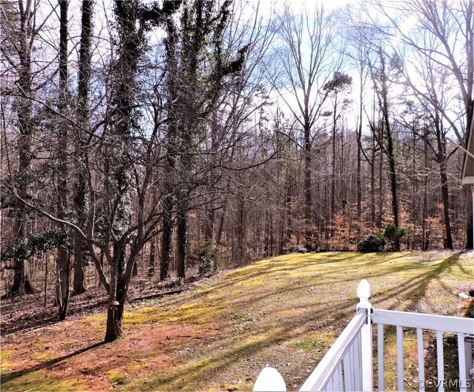 2032 Old Tavern Road Powhatan, VA 23139 - Photo 5 of 22