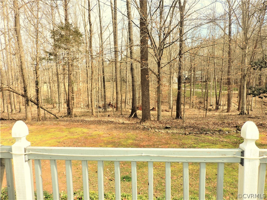 2032 Old Tavern Road Powhatan, VA 23139 - Photo 6 of 22 View from deck