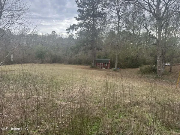 $119,999 | 90 Augusta Drive, Carriere, MS 39426