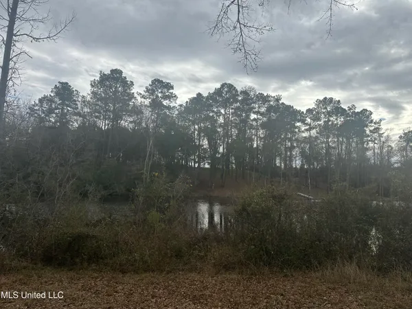 $119,999 | 90 Augusta Drive, Carriere, MS 39426