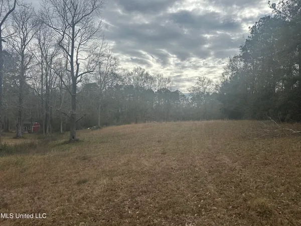 $119,999 | 90 Augusta Drive, Carriere, MS 39426