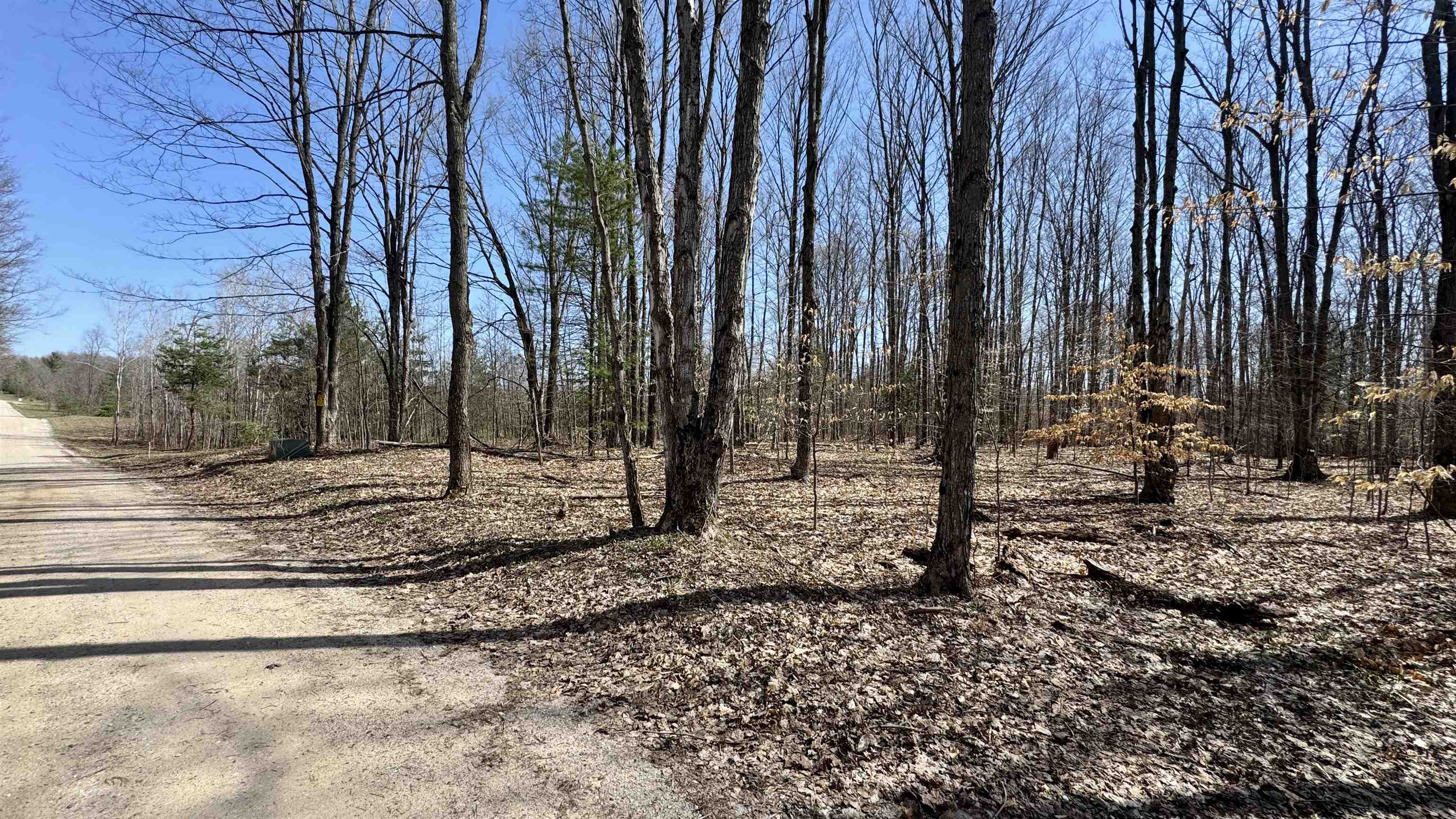 0 North 1st Road, Unit PARCEL C Buckley, MI 49620 - Photo 5 of 7