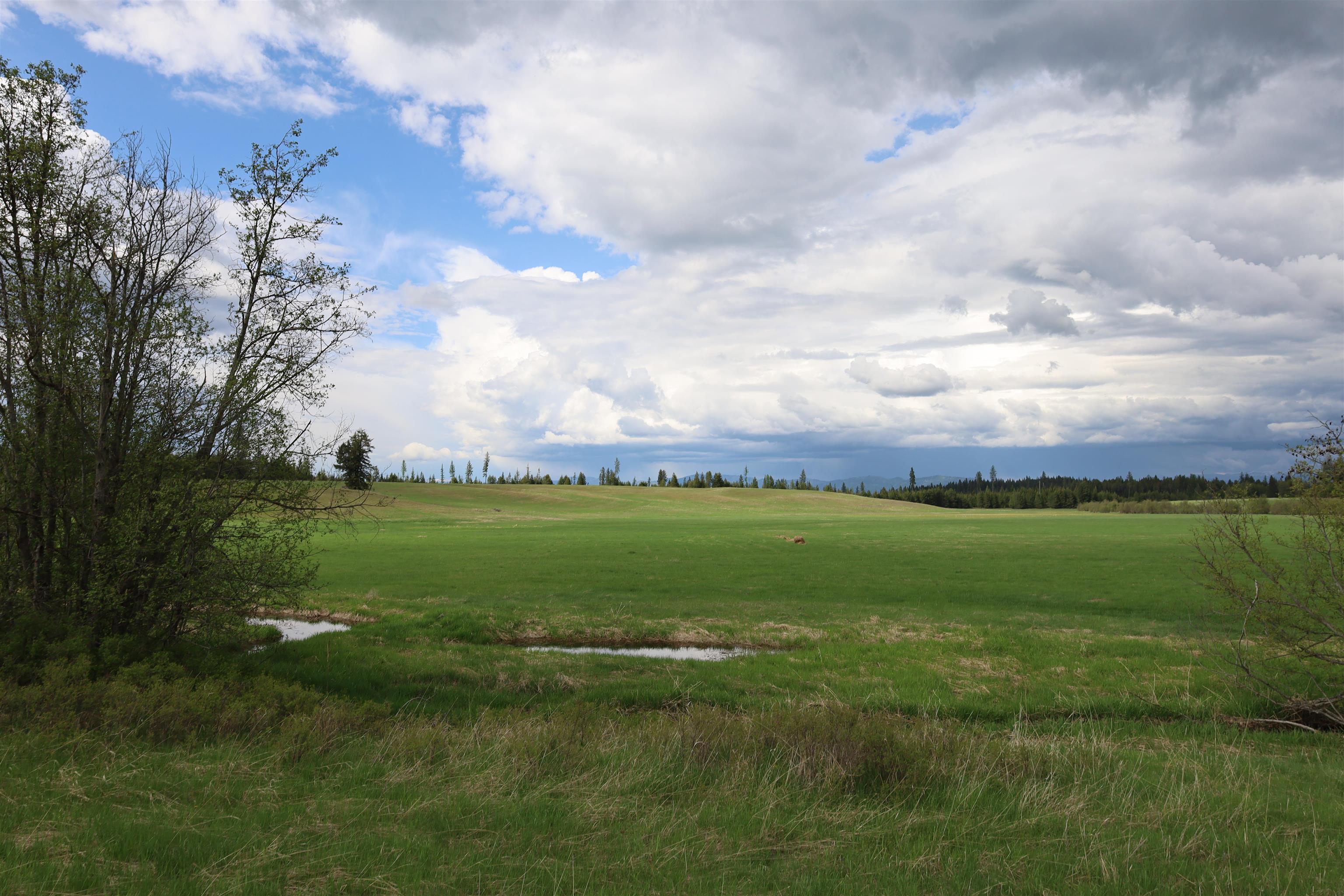 Tbd Tbd Elmer Loop Road Newport, WA 99156 - Photo 13 of 14 Gallery Image 13