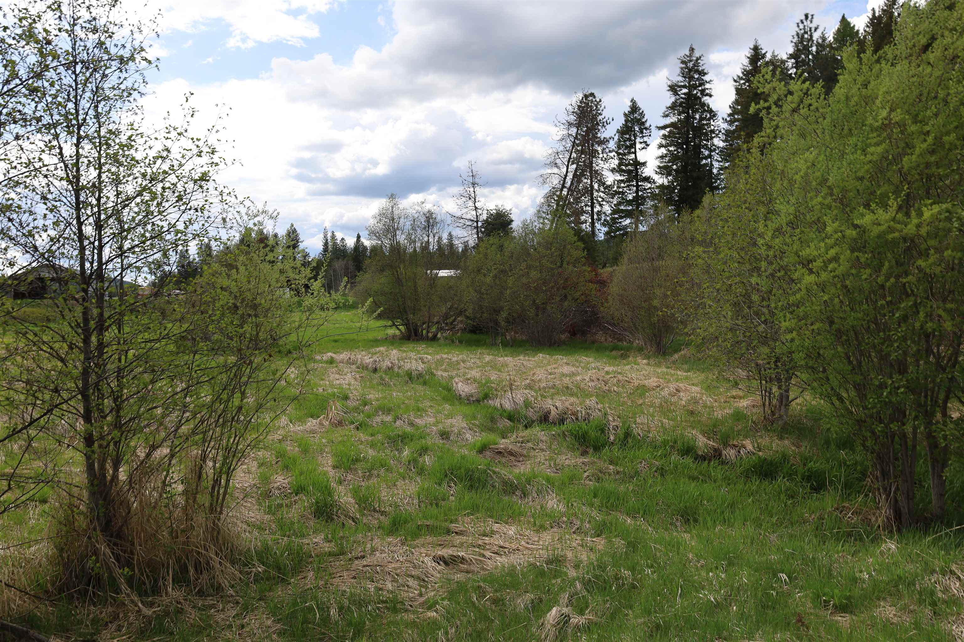 Tbd Tbd Elmer Loop Road Newport, WA 99156 - Photo 14 of 14 Gallery Image 14