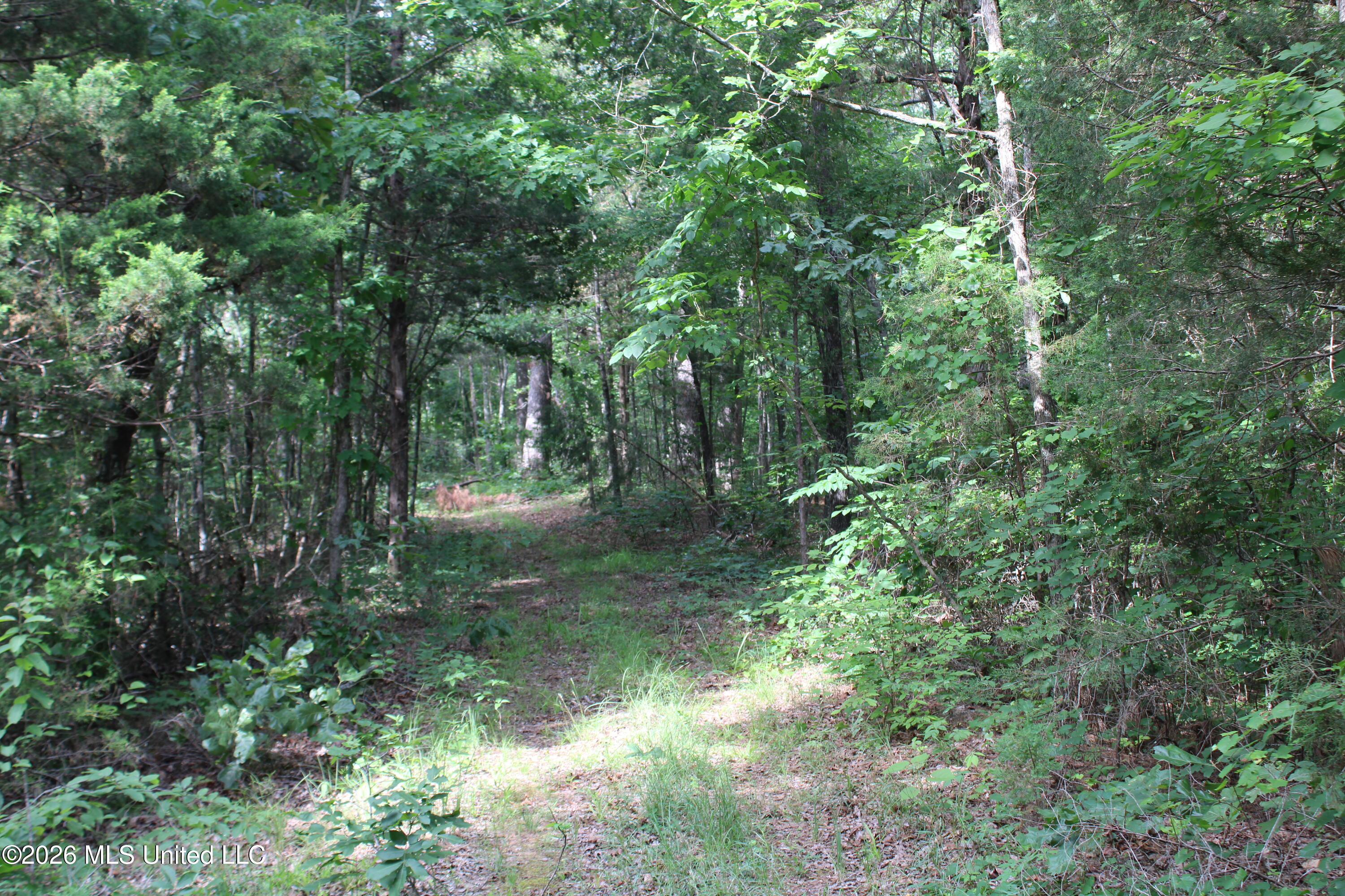 0 Scruggs Road Holly Springs, MS 38635 - Photo 20 of 25 IMG_7898