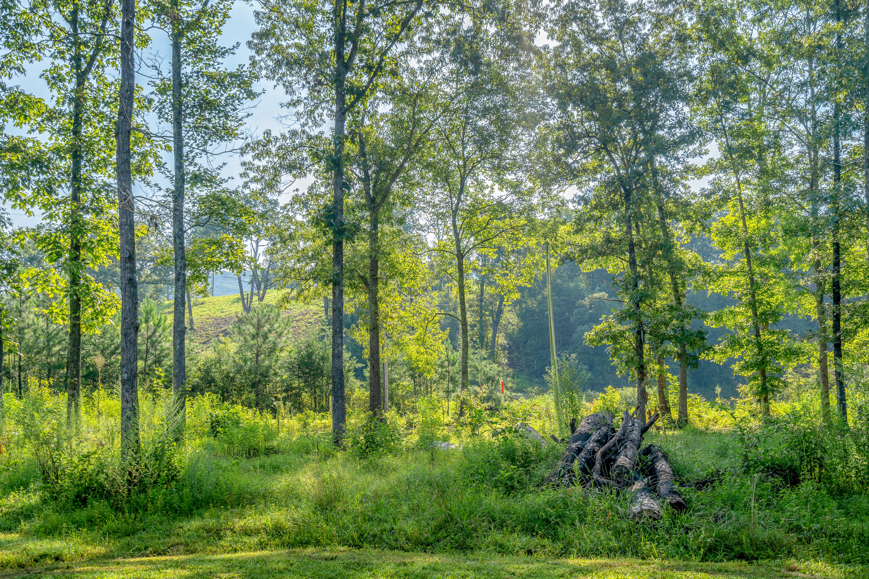 274 Furnace Creek Road LaFayette, GA 30728 - Photo 11 of 19 274furnacecreek-11