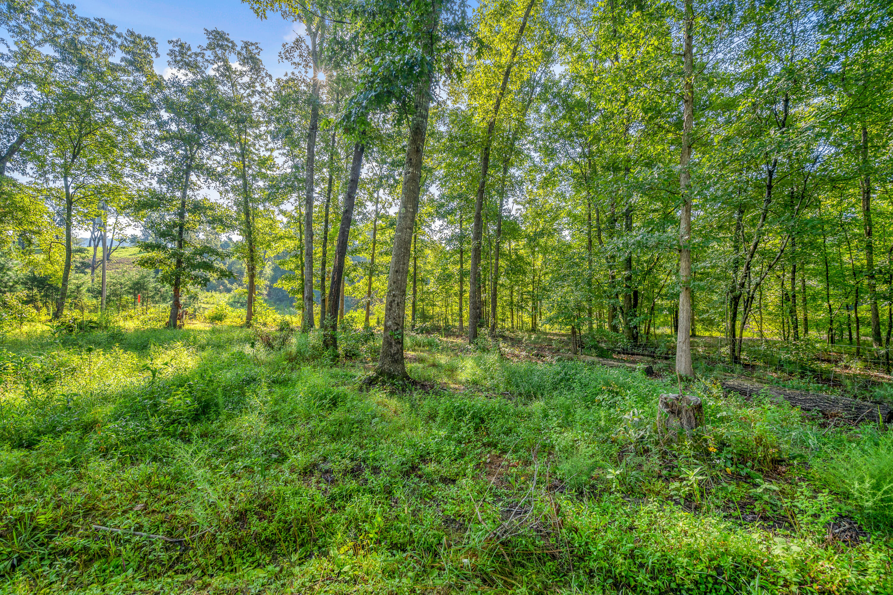 274 Furnace Creek Road LaFayette, GA 30728 - Photo 10 of 19 274furnacecreek-10