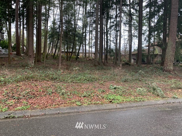 5428 Canvasback Road Blaine, WA 98230 - Photo 1 of 18