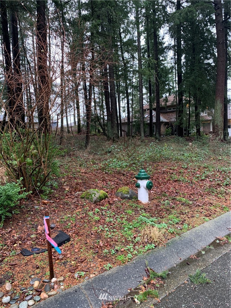 5428 Canvasback Road Blaine, WA 98230 - Photo 12 of 18