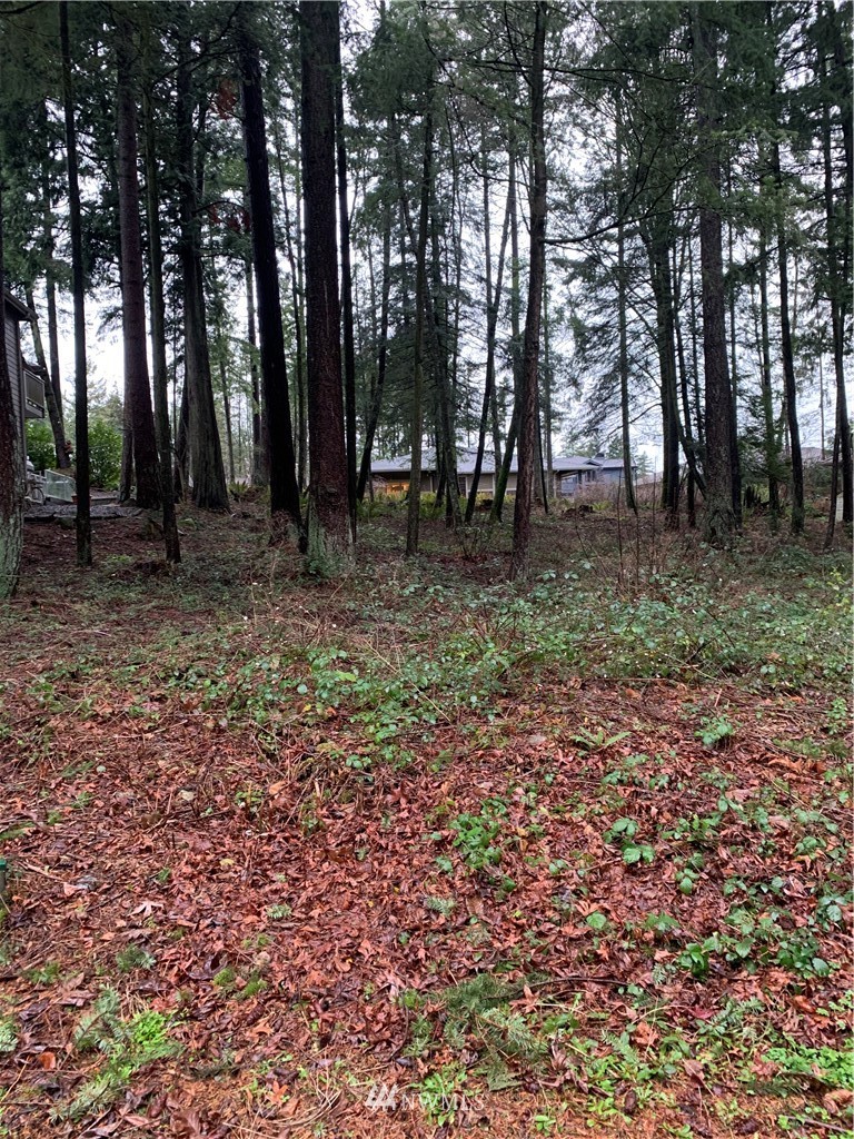 5428 Canvasback Road Blaine, WA 98230 - Photo 14 of 18
