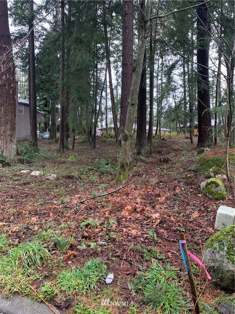 5428 Canvasback Road Blaine, WA 98230 - Photo 15 of 18