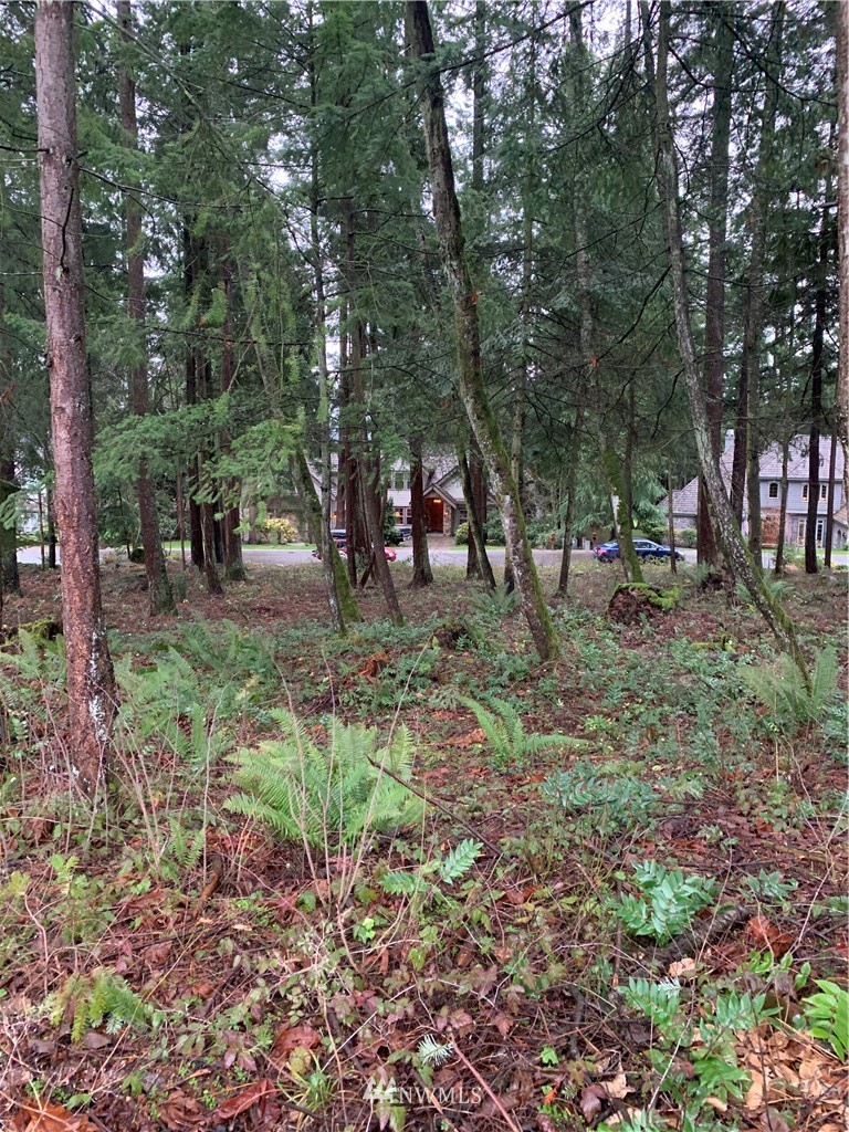 5428 Canvasback Road Blaine, WA 98230 - Photo 16 of 18