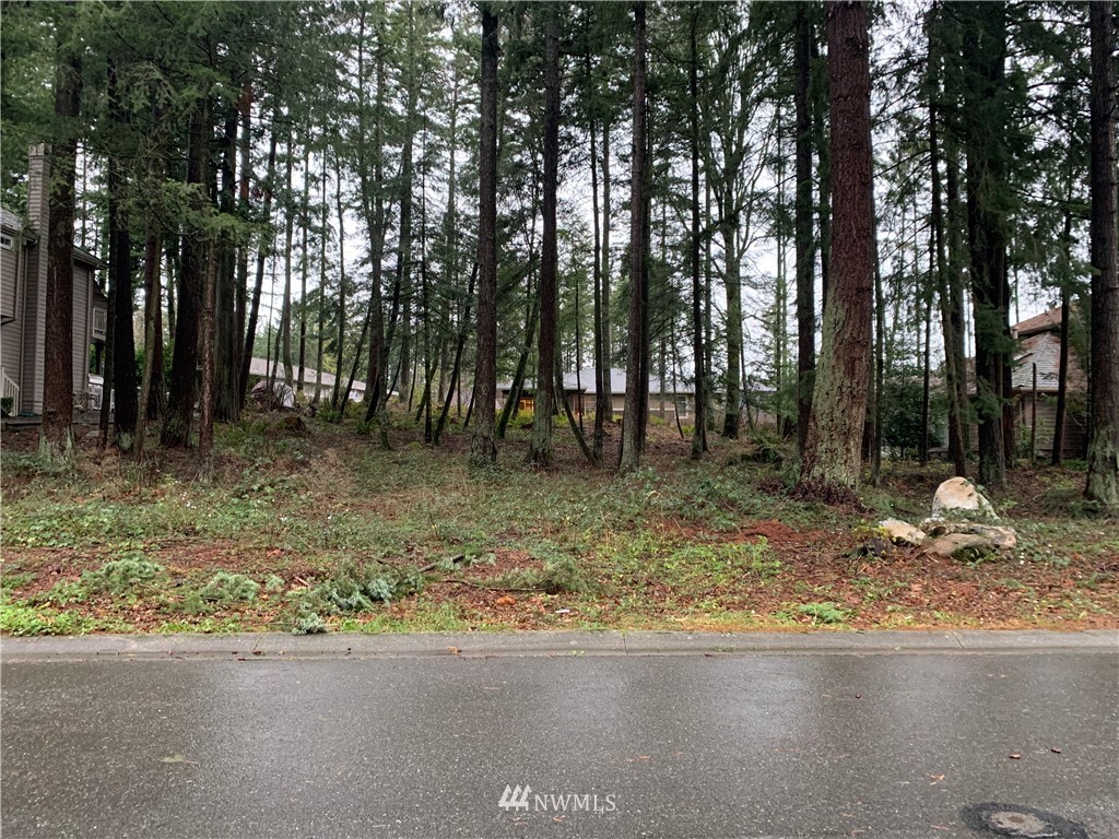 5428 Canvasback Road Blaine, WA 98230 - Photo 4 of 18