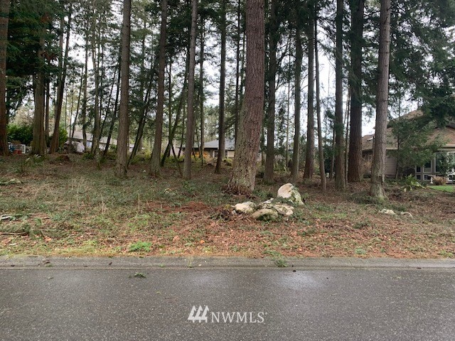 5428 Canvasback Road Blaine, WA 98230 - Photo 8 of 18