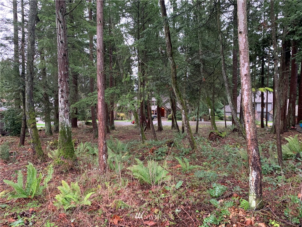 5428 Canvasback Road Blaine, WA 98230 - Photo 10 of 18