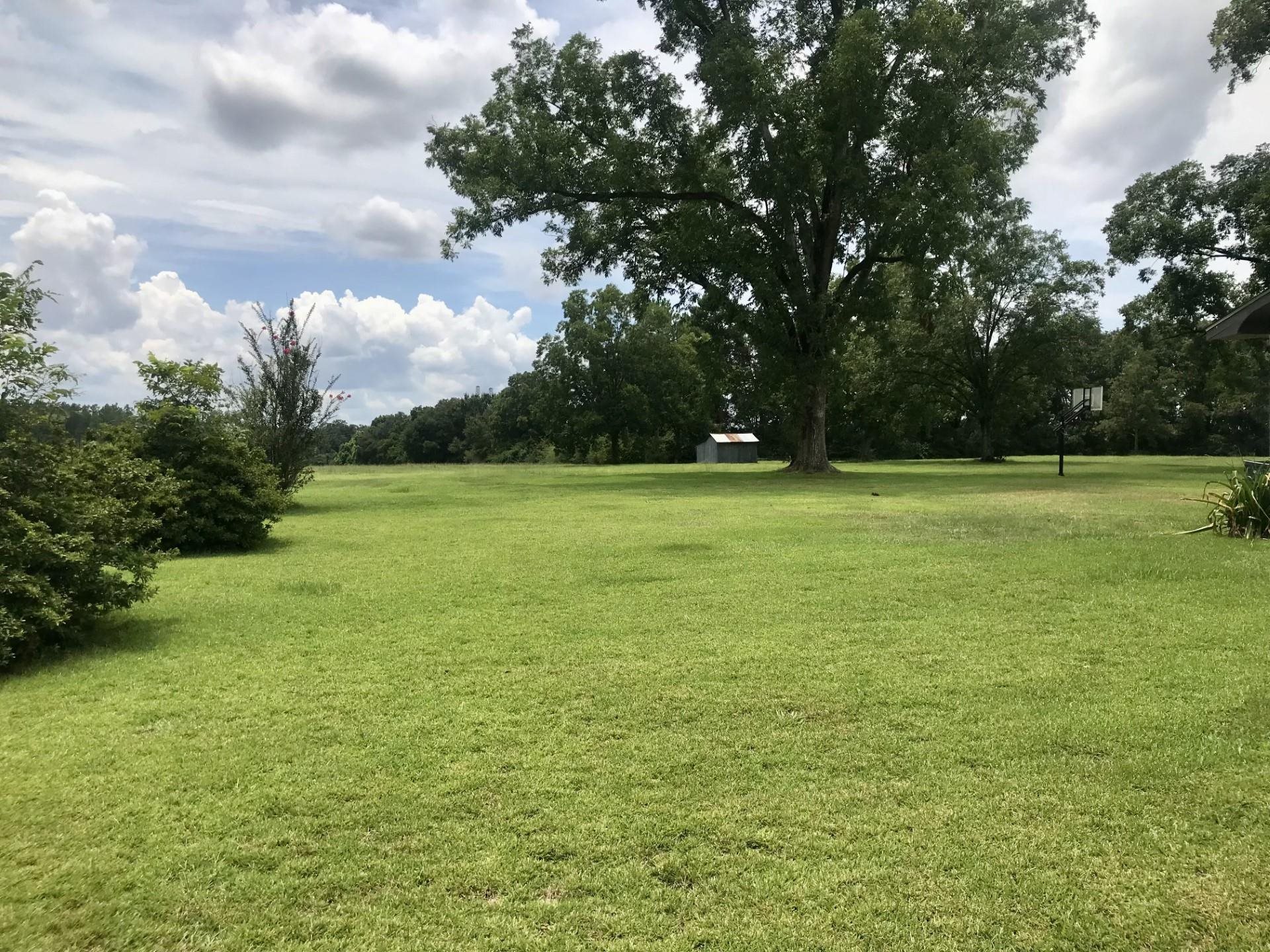 22250 Phillipsville Road Bay Minette, AL 36507 - Photo 36 of 38