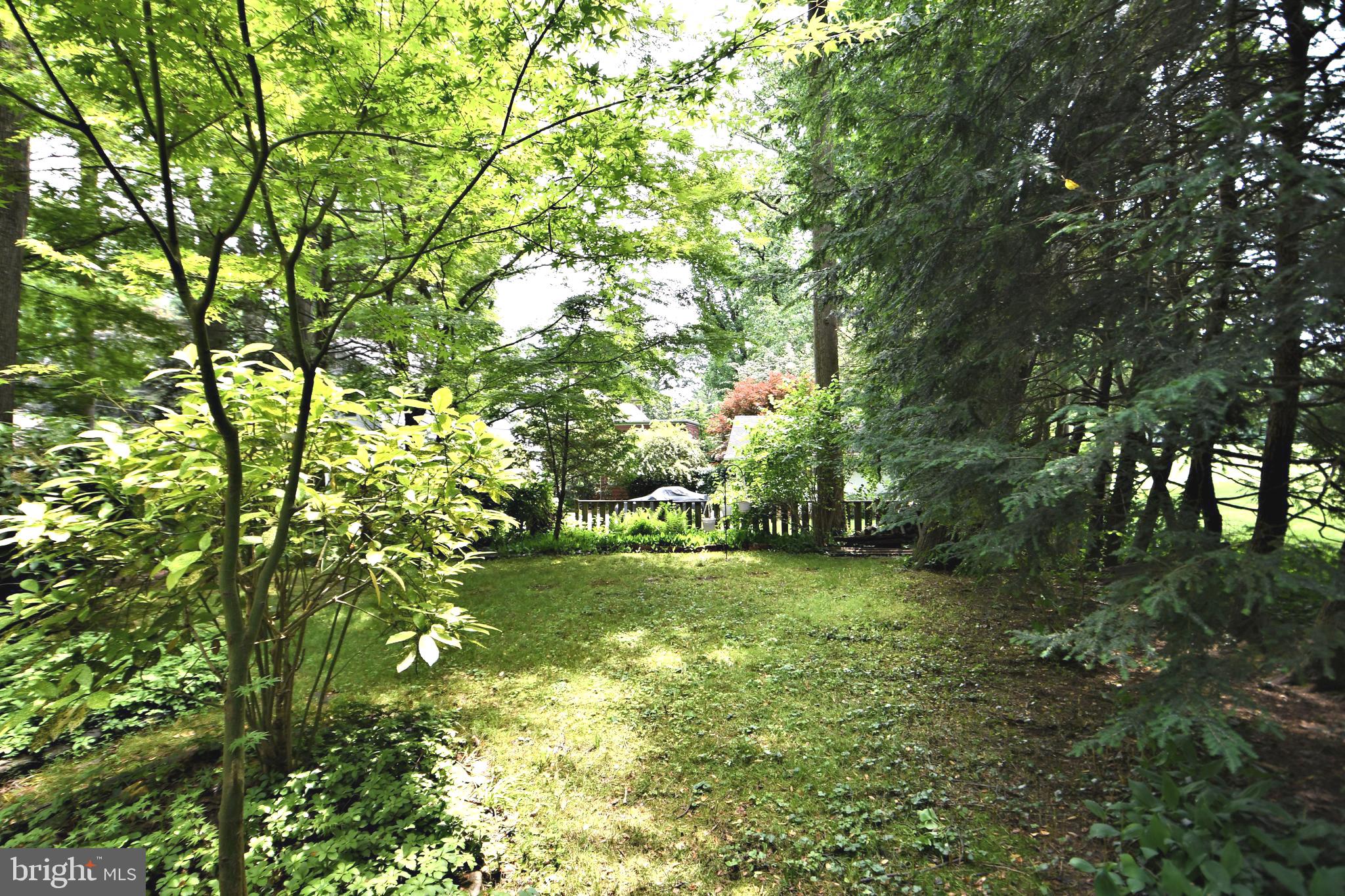 120 Hewett Road Wyncote, PA 19095 - Photo 35 of 44 a backyard of a house with lots of plants and trees