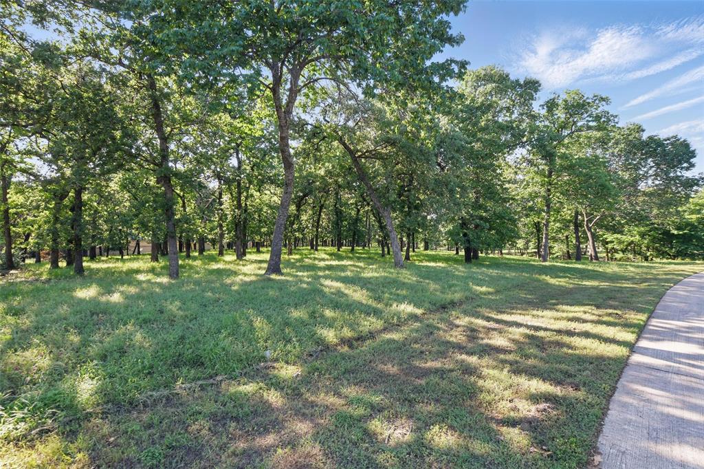 5901 Rue Jordan Flower Mound, TX 75022 - Photo 9 of 13