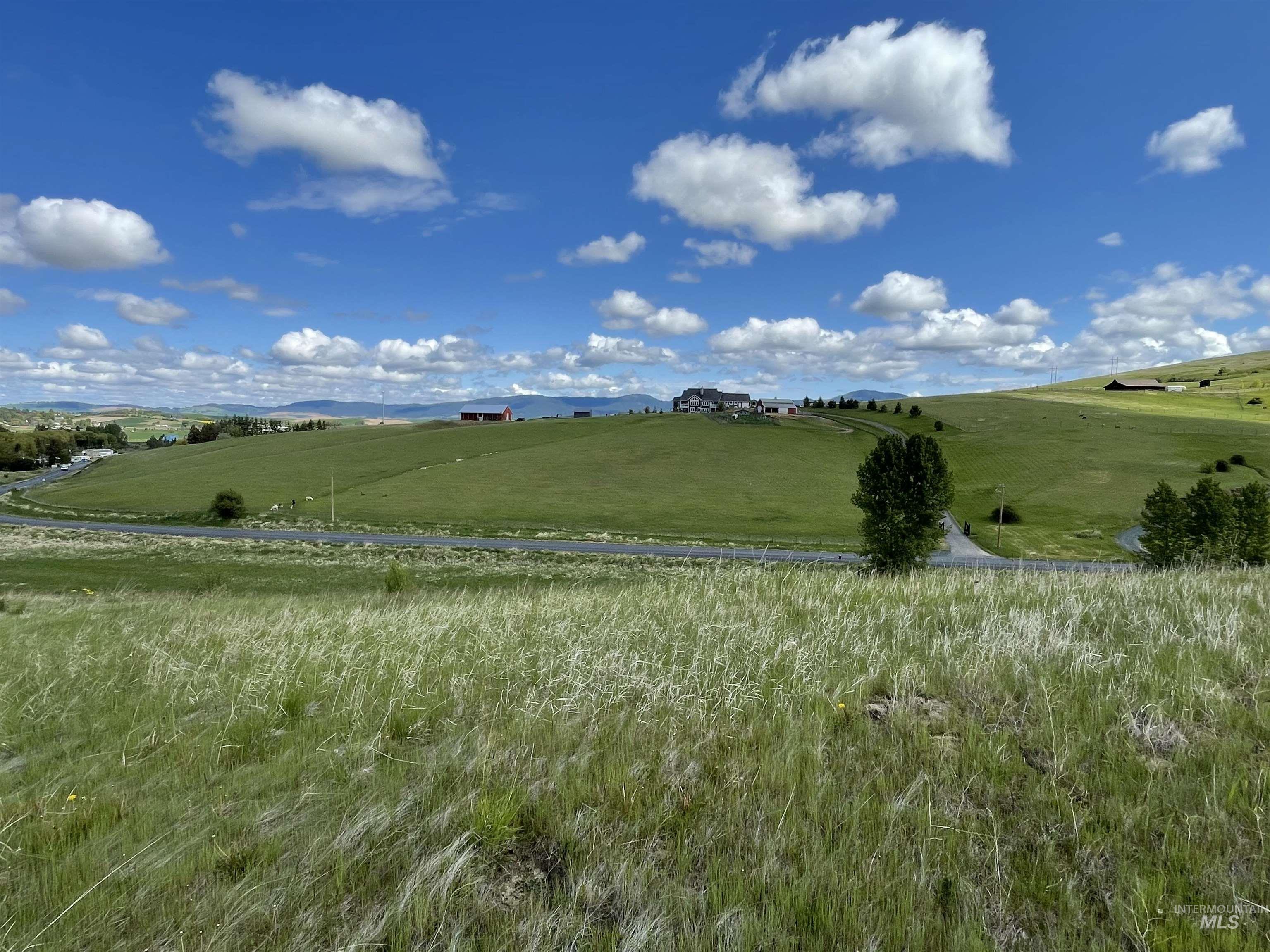 2590 Blaine Road Moscow, ID 83843 - Photo 23 of 37 Gallery Image 23