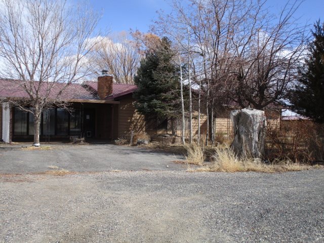 1054-19 19 1/2 Road Fruita, CO 81521 - Photo 1 of 24 a view of a house with a yard and large tree