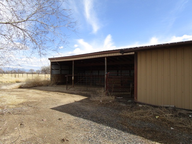 1054-19 19 1/2 Road Fruita, CO 81521 - Photo 16 of 24 a front view of a house with a yard