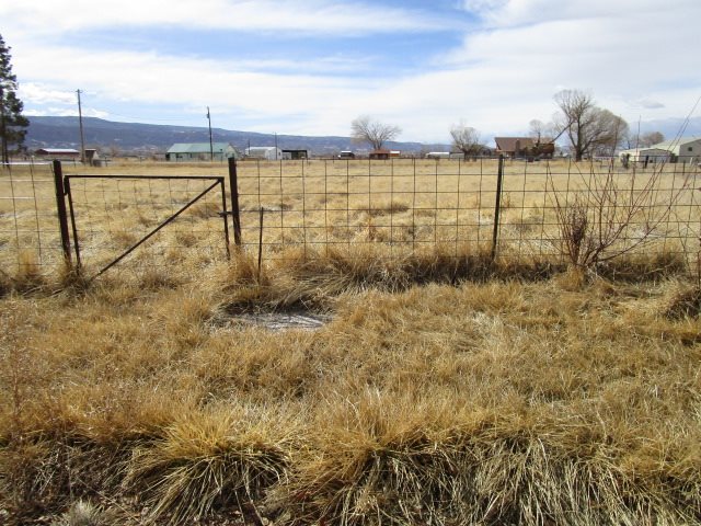 1054-19 19 1/2 Road Fruita, CO 81521 - Photo 20 of 24 a view of a lake with a beach