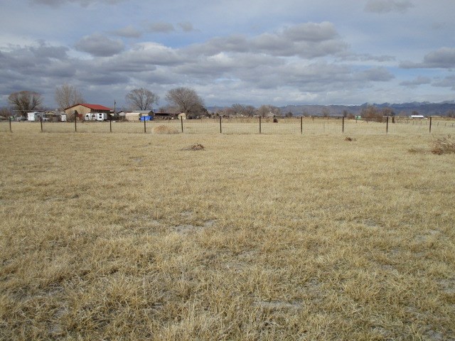 1054-19 19 1/2 Road Fruita, CO 81521 - Photo 23 of 24