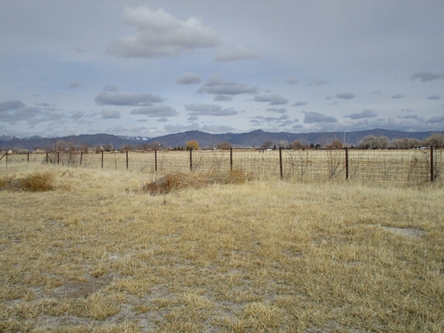 1054-19 19 1/2 Road Fruita, CO 81521 - Photo 24 of 24 a view of water pool