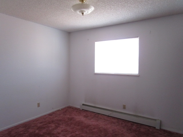 1054-19 19 1/2 Road Fruita, CO 81521 - Photo 9 of 24 an empty room with a window