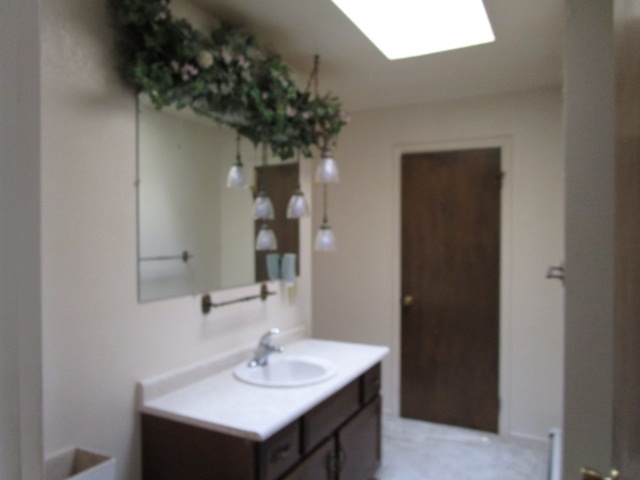 1054-19 19 1/2 Road Fruita, CO 81521 - Photo 10 of 24 a bathroom with a sink and a mirror