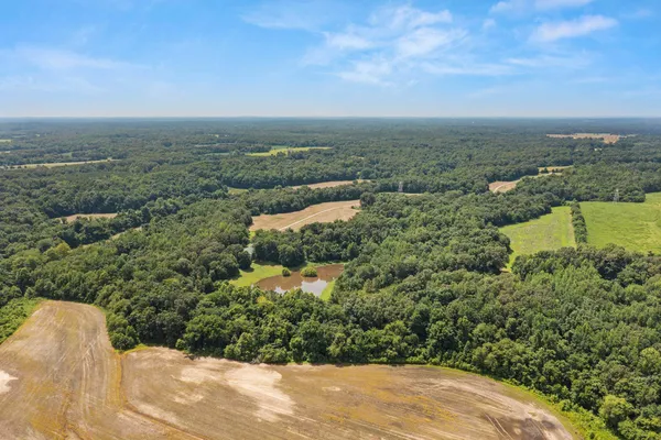 $1,200,000 | 3890 Ames Road, Hickory Valley, TN 38042