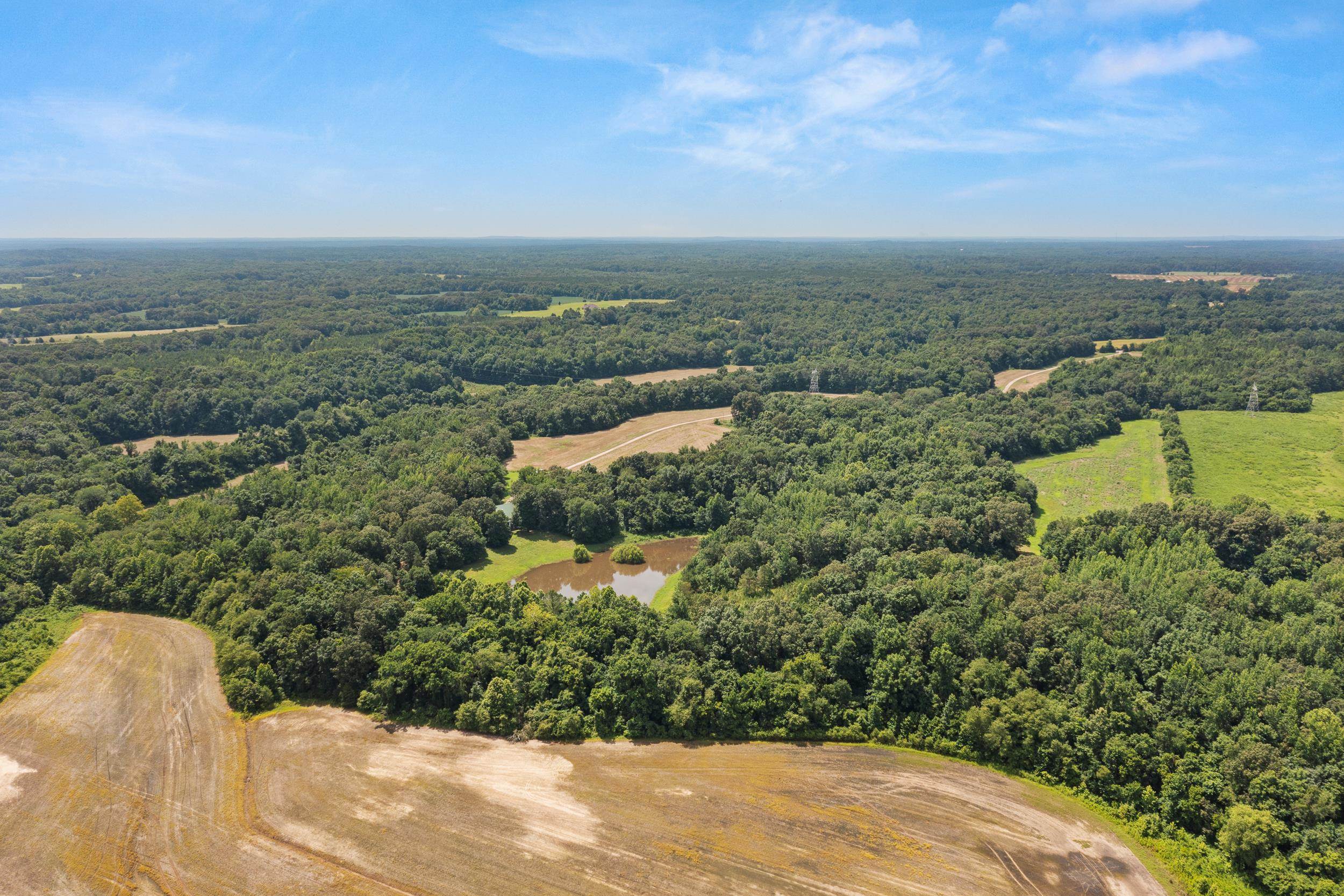 3890 Ames Road Hickory Valley, TN 38042 - Photo 13 of 35