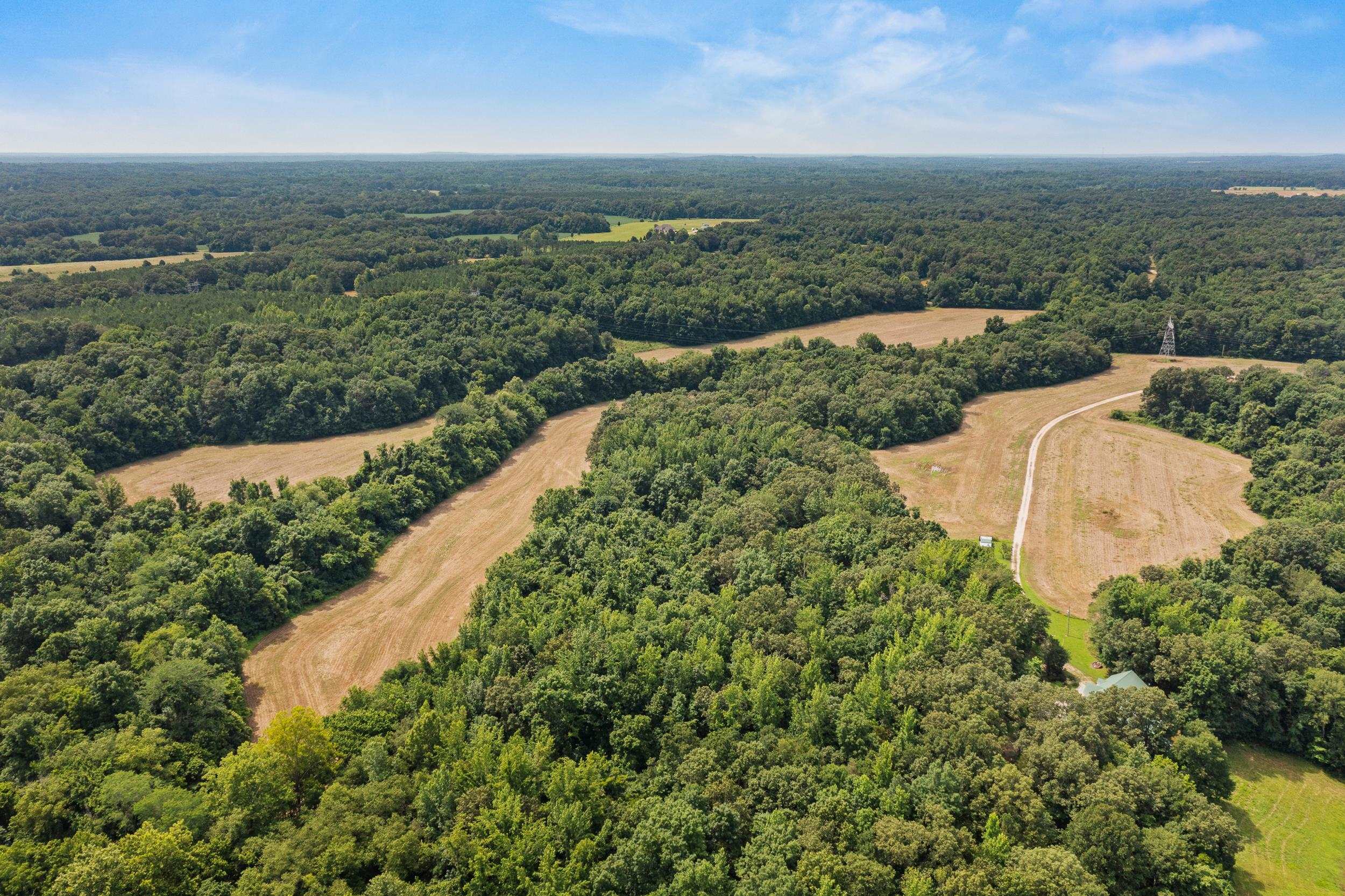 3890 Ames Road Hickory Valley, TN 38042 - Photo 8 of 35