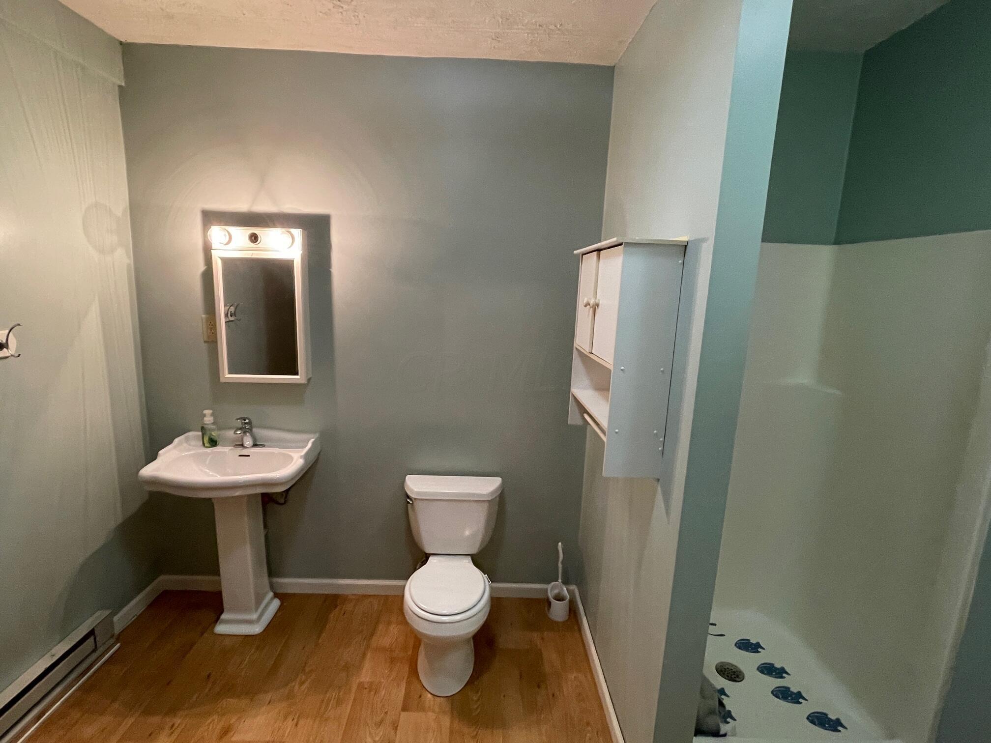 31520 Cane Road Logan, OH 43138 - Photo 39 of 52 Apartment Bathroom