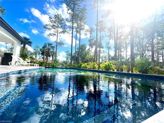 a lake view with palm trees