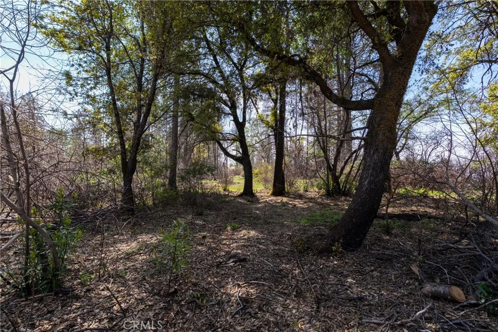 0 Toll Gate Way Magalia, CA 95954 - Photo 46 of 62