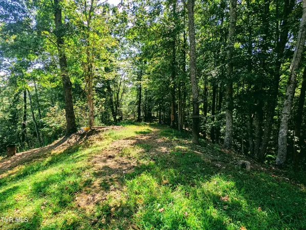 $115,000 | 188 Boggs Hill, Clintwood, VA 24228