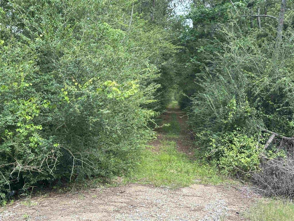 West Santa Fe Road Oakdale, LA 71463 - Photo 3 of 6