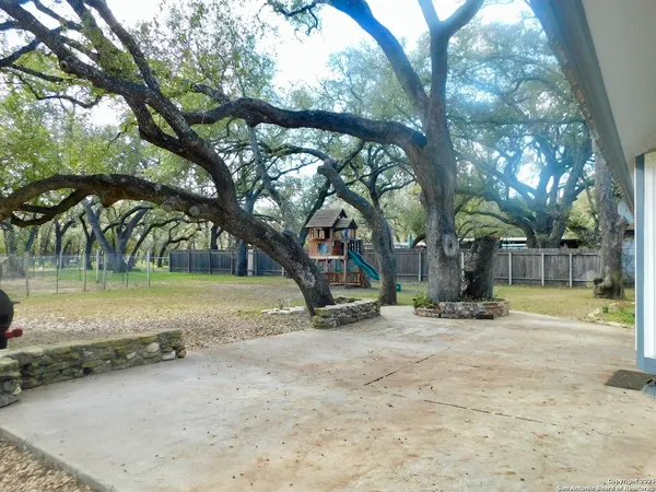 a view of a yard with a tree