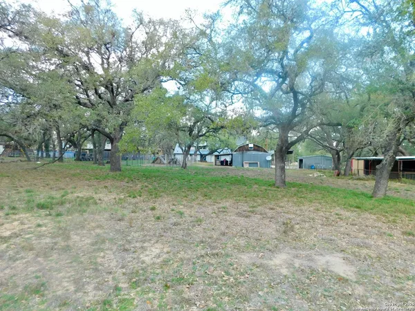 a view of a tree in front of a house