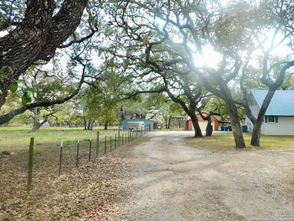 a view of yard with trees