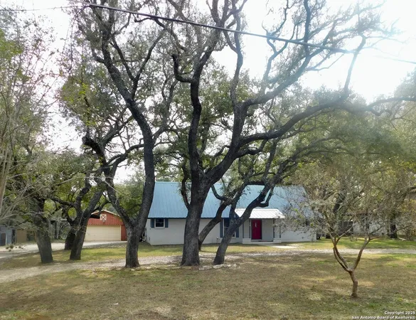 a view of a yard with a tree