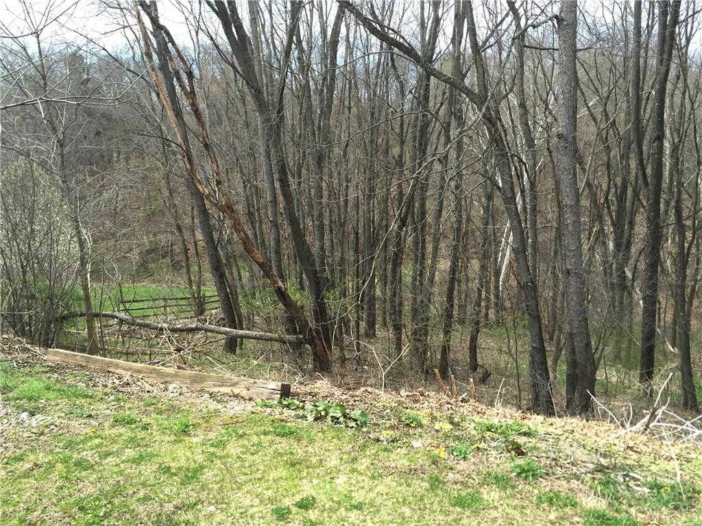 558 Partridge Run Road Gibsonia, PA 15044 - Photo 23 of 24 Gallery Image 23