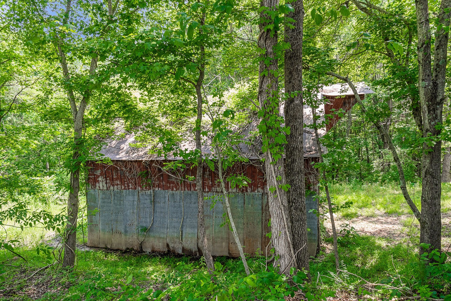 8627 Antioch Road Smithville, TN 37166 - Photo 47 of 60 Gallery Image 47